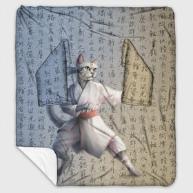 Плед с рукавами Karate cat: в городе Новоалтайск, 100% полиэстер | Закругленные углы, все края обработаны. Ткань не мнется и не растягивается. Размер 170*145 | боевое искусство | боец | карате | каратэ | каратэ боец | каратэ воин | каратэ до | карте кёкусинкай | кёкусинкай | киокусинкай | пустая рука | путь пустой руки | рука тан | самооборона