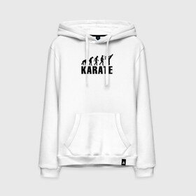 Мужская толстовка с принтом Karate Evolution в городе Новоалтайск, френч-терри, мягкий теплый начес внутри (100% хлопок) | карман-кенгуру, эластичные манжеты и нижняя кромка, капюшон с подкладом и шнурком | боевое искусство | боец | карате | каратэ | каратэ боец | каратэ воин | каратэ до | карте кёкусинкай | кёкусинкай | киокусинкай | пустая рука | путь пустой руки | рука тан | самооборона