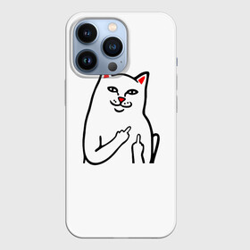 Чехол для iPhone 13 Pro с принтом Meme Cat в городе Новоалтайск,  |  | Тематика изображения на принте: animal | cat | meme | животное | кот | кошка | мем | прикол | юмор