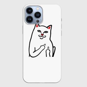 Чехол для iPhone 13 Pro Max с принтом Meme Cat в городе Новоалтайск,  |  | Тематика изображения на принте: animal | cat | meme | животное | кот | кошка | мем | прикол | юмор