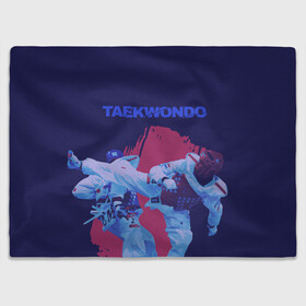Плед 3D с принтом Taekwondo в городе Новоалтайск, 100% полиэстер | закругленные углы, все края обработаны. Ткань не мнется и не растягивается | taekwondo | восточные единоборства | единоборства | теквондо | тхэквондо | тэквондо