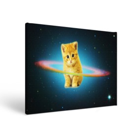 Холст прямоугольный с принтом Рыжий Котик в городе Новоалтайск, 100% ПВХ |  | cat | cats | животные | киса | киска | кот | котики | коты | котэ | кошка | природа