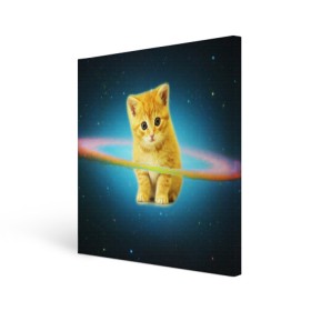 Холст квадратный с принтом Рыжий Котик в городе Новоалтайск, 100% ПВХ |  | cat | cats | животные | киса | киска | кот | котики | коты | котэ | кошка | природа