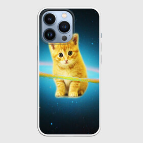 Чехол для iPhone 13 Pro с принтом Рыжий Котик в городе Новоалтайск,  |  | Тематика изображения на принте: cat | cats | животные | киса | киска | кот | котики | коты | котэ | кошка | природа
