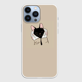 Чехол для iPhone 13 Pro Max с принтом Милая кошечка в городе Новоалтайск,  |  | Тематика изображения на принте: cat | детское платье с кошкой | для девочек | кот | кошка | милая | милая футболка | мужская футболка | рюкзак с кошкой | футболка | футболка 3d | футболка женская | футболка с котом