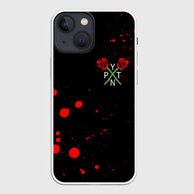 Чехол для iPhone 13 mini с принтом PAYTON MOORMEIER   ТИКТОК в городе Новоалтайск,  |  | Тематика изображения на принте: payton moormeier | tiktok | блогер | пейтон | пейтон моормиер | тикток | тиктокер | ютубер