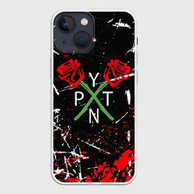 Чехол для iPhone 13 mini с принтом PAYTON MOORMEIER   ТИКТОК в городе Новоалтайск,  |  | Тематика изображения на принте: payton moormeier | tiktok | блогер | пейтон | пейтон моормиер | тикток | тиктокер | ютубер