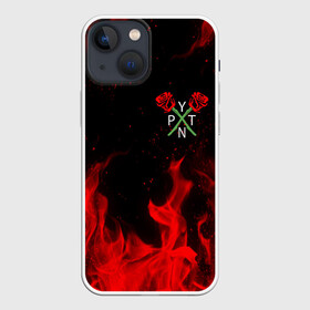 Чехол для iPhone 13 mini с принтом PAYTON MOORMEIER   ТИКТОК в городе Новоалтайск,  |  | Тематика изображения на принте: payton moormeier | tiktok | блогер | пейтон | пейтон моормиер | тикток | тиктокер | ютубер