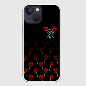 Чехол для iPhone 13 mini с принтом PAYTON MOORMEIER   ТИКТОК в городе Новоалтайск,  |  | Тематика изображения на принте: payton moormeier | tiktok | блогер | пейтон | пейтон моормиер | тикток | тиктокер | ютубер