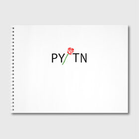 Альбом для рисования с принтом ТИКТОКЕР - PAYTON MOORMEIE в городе Новоалтайск, 100% бумага
 | матовая бумага, плотность 200 мг. | payton | payton moormeie | блогер | знаменитость | пейтон | пейтон моормиер | тиктоенр