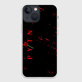 Чехол для iPhone 13 mini с принтом ТИКТОКЕР   PAYTON MOORMEIE. в городе Новоалтайск,  |  | Тематика изображения на принте: payton | payton moormeie | блогер | знаменитость | пейтон | пейтон моормиер | тиктоенр