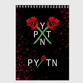 Скетчбук с принтом PAYTON MOORMEIER - ТИКТОК в городе Новоалтайск, 100% бумага
 | 48 листов, плотность листов — 100 г/м2, плотность картонной обложки — 250 г/м2. Листы скреплены сверху удобной пружинной спиралью | Тематика изображения на принте: flower | payton moormeier | roses | tiktok | автограф payton | блогер | пейтон | пейтон моормиер | розы | тикток | тиктокер | цветы | ютубер