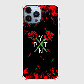 Чехол для iPhone 13 Pro Max с принтом ТИКТОКЕР   PAYTON MOORMEIE. в городе Новоалтайск,  |  | Тематика изображения на принте: payton | payton moormeie | блогер | знаменитость | пейтон | пейтон моормиер | тиктоенр