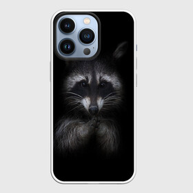 Чехол для iPhone 13 Pro с принтом енот в городе Новоалтайск,  |  | енот | енот хайп | еноты | животные | лайв тудей