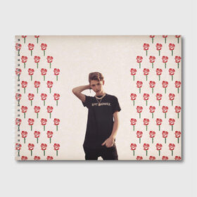 Альбом для рисования с принтом ТИКТОКЕР - PAYTON MOORMEIE в городе Новоалтайск, 100% бумага
 | матовая бумага, плотность 200 мг. | payton | payton moormeie | блогер | знаменитость | пейтон | пейтон моормиер | тиктоенр