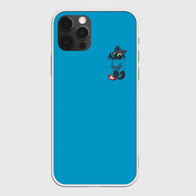 Чехол для iPhone 12 Pro Max с принтом Как приручить дракона в городе Новоалтайск, Силикон |  | Тематика изображения на принте: dragon | how | to train | your | астрид | беззубик | викинги | всадник | гриммель | дневная | дракон | иккинг | как | ночная | олух | приручить | фурия | фэнтези