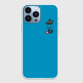 Чехол для iPhone 13 Pro Max с принтом Как приручить дракона в городе Новоалтайск,  |  | Тематика изображения на принте: dragon | how | to train | your | астрид | беззубик | викинги | всадник | гриммель | дневная | дракон | иккинг | как | ночная | олух | приручить | фурия | фэнтези