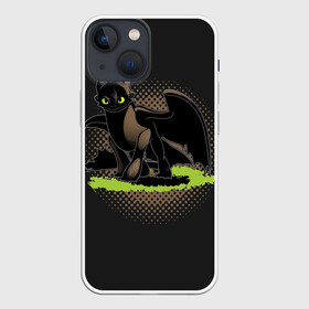 Чехол для iPhone 13 mini с принтом Как приручить дракона в городе Новоалтайск,  |  | dragon | how | to train | your | астрид | беззубик | викинги | всадник | гриммель | дневная | дракон | иккинг | как | ночная | олух | приручить | фурия | фэнтези