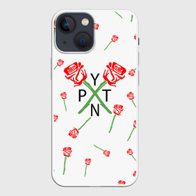 Чехол для iPhone 13 mini с принтом PAYTON MOORMEIER   ТИКТОК в городе Новоалтайск,  |  | Тематика изображения на принте: payton moormeier | tiktok | блогер | пейтон | пейтон моормиер | тикток | тиктокер | ютубер