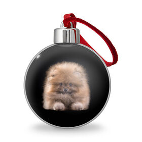 Ёлочный шар с принтом Рыжий Шпиц в городе Новоалтайск, Пластик | Диаметр: 77 мм | детская | женская | купить | мужская | пес | рисунки щенков | рыжий | с принтом | с собаками | с собакой | со шпицами | со щенком | собака | собаки | шпиц | щенок