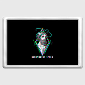 Магнит 45*70 с принтом Magic is science - Пифагор в городе Новоалтайск, Пластик | Размер: 78*52 мм; Размер печати: 70*45 | magic | science | астрономия | геометрия | картинки | математика | мем | наука | пифагор | приколы | треугольник | физика | школа | школьник