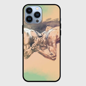 Чехол для iPhone 13 Pro Max с принтом Борьба в городе Новоалтайск,  |  | sport | wrestling | борьба | вольная | греко римская | единоборство | спорт