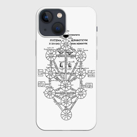 Чехол для iPhone 13 mini с принтом черно белые свитки в городе Новоалтайск,  |  | evangelion | ангелы | арт | база nerf | евангелион | икари | кабинет | кабинет икари | надпись | свитки | чёрное белое