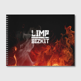 Альбом для рисования с принтом LIMP BIZKIT в городе Новоалтайск, 100% бумага
 | матовая бумага, плотность 200 мг. | Тематика изображения на принте: dj lethal | limp bizkit | rock | джон отто | лимп бизкит | майк смит | музыка | роб уотерс | рок | сэм риверс | терри бальзамо | уэс борланд | фред дёрст
