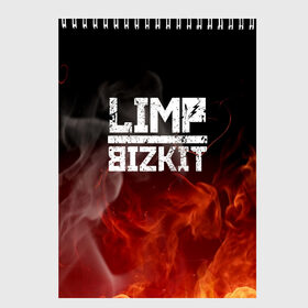 Скетчбук с принтом LIMP BIZKIT в городе Новоалтайск, 100% бумага
 | 48 листов, плотность листов — 100 г/м2, плотность картонной обложки — 250 г/м2. Листы скреплены сверху удобной пружинной спиралью | dj lethal | limp bizkit | rock | джон отто | лимп бизкит | майк смит | музыка | роб уотерс | рок | сэм риверс | терри бальзамо | уэс борланд | фред дёрст