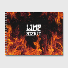 Альбом для рисования с принтом LIMP BIZKIT в городе Новоалтайск, 100% бумага
 | матовая бумага, плотность 200 мг. | Тематика изображения на принте: dj lethal | limp bizkit | rock | джон отто | лимп бизкит | майк смит | музыка | роб уотерс | рок | сэм риверс | терри бальзамо | уэс борланд | фред дёрст