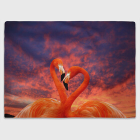 Плед 3D с принтом Flamingo Love в городе Новоалтайск, 100% полиэстер | закругленные углы, все края обработаны. Ткань не мнется и не растягивается | 14 февраля | 8 марта | валентинов день | верность | влюбленность | влюбленные | вместе | вместе навсегда | девушке | женат | женский день | женский праздник | закат | замужем | кружка | любимая
