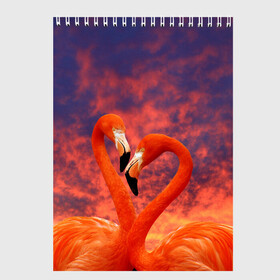 Скетчбук с принтом Flamingo Love в городе Новоалтайск, 100% бумага
 | 48 листов, плотность листов — 100 г/м2, плотность картонной обложки — 250 г/м2. Листы скреплены сверху удобной пружинной спиралью | 14 февраля | 8 марта | валентинов день | верность | влюбленность | влюбленные | вместе | вместе навсегда | девушке | женат | женский день | женский праздник | закат | замужем | кружка | любимая
