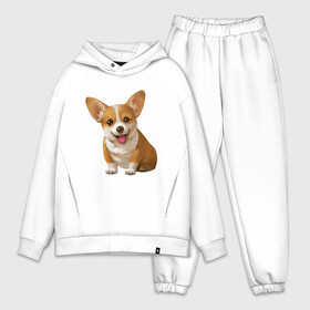 Мужской костюм хлопок OVERSIZE с принтом Корги. в городе Новоалтайск,  |  | dogs | style | животные | корги | милые собаки | мимимишность | минимализм | модные | подарок | прикольные картинки | пушистая собака | собака | собаки | стиль | щенки