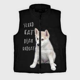 Мужской жилет утепленный 3D с принтом Sleep Eat Play Repeat (Хаски) в городе Новоалтайск,  |  | dog | husky | puppy | siberian husky | sleep eat play repeat | белая собака | белый щенок | ездовая собака | кружка | лайка | лайка щенок | подушка | сибирский хаски | собака | собачья жизнь | сумка | термокружка | фартук