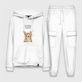 Мужской костюм хлопок с толстовкой с принтом Corgi is my Love в городе Новоалтайск,  |  | corgi | corgi is my love | корги | собака