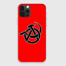 Чехол для iPhone 12 Pro Max с принтом Анархия в городе Новоалтайск, Силикон |  | art | rock | sons of anarchy | анархия | арт | группа | егор летов | логотип | музыка | панк | панк рок | прикольная | рок | свобода | хаос