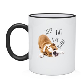 Кружка двухцветная с принтом Sleep Eat Play Repeat (Бульдог) в городе Новоалтайск, керамика | объем — 330 мл, диаметр — 80 мм. Цветная ручка и кайма сверху, в некоторых цветах — вся внутренняя часть | Тематика изображения на принте: bulldog | dog | puppy | sleep eat play repeat | английский бульдог | бульдог | бульдог английский | веселая собака | веселый щенок | игривый щенок | мысли с | мысли щенка | рыжая собака | рыжий щенок | собачья жизнь