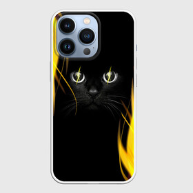 Чехол для iPhone 13 Pro с принтом Грозовой кошак в городе Новоалтайск,  |  | Тематика изображения на принте: глаза | грозовой | кот | кошак | молнии | пламя | разряды | черный