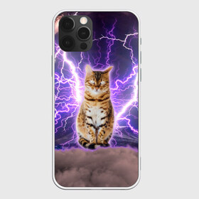 Чехол для iPhone 12 Pro Max с принтом Котушка Теслы в городе Новоалтайск, Силикон |  | Тематика изображения на принте: cat | lightning | lightning cat | tesla | арт с котом | грозовой кошак | катушка теслы | кот | кот мем | котейка | котушка теслы | котяра | кошак | кошка | мем с котом | молнии | тесла