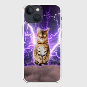 Чехол для iPhone 13 mini с принтом Котушка Теслы в городе Новоалтайск,  |  | cat | lightning | lightning cat | tesla | арт с котом | грозовой кошак | катушка теслы | кот | кот мем | котейка | котушка теслы | котяра | кошак | кошка | мем с котом | молнии | тесла