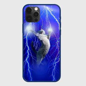 Чехол для iPhone 12 Pro Max с принтом Грозовой кошак в городе Новоалтайск, Силикон |  | Тематика изображения на принте: cat | грозовой кот | грозовой кошак | животные | звери | кот | котики | кошак | молния