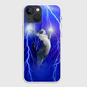 Чехол для iPhone 13 mini с принтом Грозовой кошак. в городе Новоалтайск,  |  | cat | грозовой кот | грозовой кошак | животные | звери | кот | котики | кошак | молния