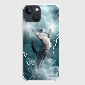 Чехол для iPhone 13 mini с принтом Грозовой кошак. в городе Новоалтайск,  |  | cat | грозовой кот | грозовой кошак | животные | звери | кот | котики | кошак | молния
