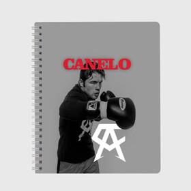Тетрадь с принтом Canelo в городе Новоалтайск, 100% бумага | 48 листов, плотность листов — 60 г/м2, плотность картонной обложки — 250 г/м2. Листы скреплены сбоку удобной пружинной спиралью. Уголки страниц и обложки скругленные. Цвет линий — светло-серый
 | 