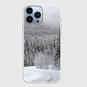 Чехол для iPhone 13 Pro Max с принтом Зимняя природа в городе Новоалтайск,  |  | Тематика изображения на принте: winter | белый | зима | искусство | лес | природа | снег | снежная | текстура | текстуры