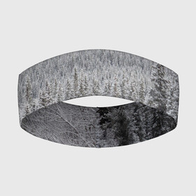 Повязка на голову 3D с принтом Зимняя природа в городе Новоалтайск,  |  | winter | белый | зима | искусство | лес | природа | снег | снежная | текстура | текстуры