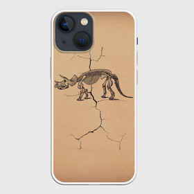 Чехол для iPhone 13 mini с принтом Triceratops skeleton в городе Новоалтайск,  |  | dinosaur | extinct | primal | skeleton | triceratops | вымерший | динозавр | первобытный | скелет | трицератопс