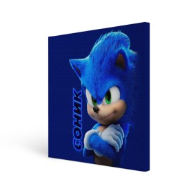 Холст квадратный с принтом SONIC в городе Новоалтайск, 100% ПВХ |  | Тематика изображения на принте: hedgehog | metal sonic | silver | silver the hedgehog | sonic | sonic boom | sonic the hedgehog | еж | ёж сонник | ежик | игры | кино | соник | соник в кино | фильм
