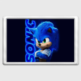 Магнит 45*70 с принтом SONIC в городе Новоалтайск, Пластик | Размер: 78*52 мм; Размер печати: 70*45 | Тематика изображения на принте: hedgehog | metal sonic | silver | silver the hedgehog | sonic | sonic boom | sonic the hedgehog | еж | ёж сонник | ежик | игры | кино | соник | соник в кино | фильм