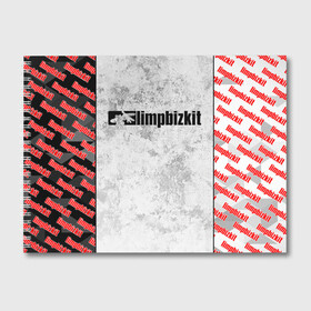 Альбом для рисования с принтом LIMP BIZKIT в городе Новоалтайск, 100% бумага
 | матовая бумага, плотность 200 мг. | dj lethal | limp bizkit | rock | джон отто | лимп бизкит | майк смит | музыка | роб уотерс | рок | сэм риверс | терри бальзамо | уэс борланд | фред дёрст